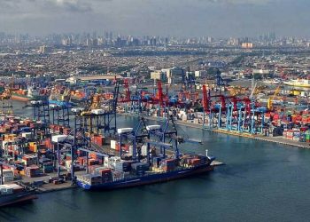 Aktivitas Transhipment di Tanjung Perak Tumbuh Signifikan