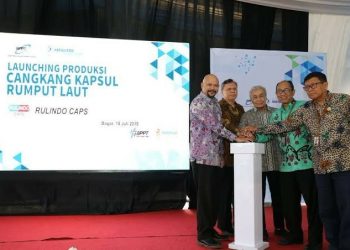 Indonesia Dorong Pengembangan Industri Cangkang Kapsul Rumput Laut