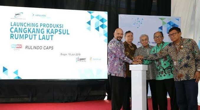 Indonesia Dorong Pengembangan Industri Cangkang Kapsul Rumput Laut