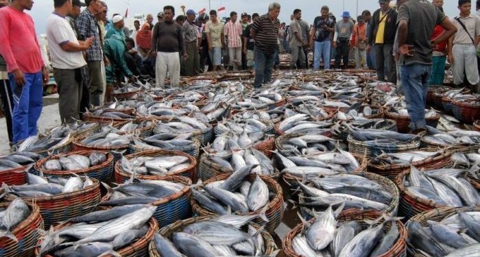Indonesia Perluas Peluang Investasi Perikanan dari Asia Timur 1 Minati Produk Jatim, Belarus Tawarkan Kerjasama Dagang dan Ekspor