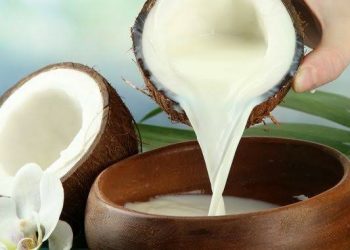 Santan Kelapa Indonesia Mulai Eksis di Pasar Dunia
