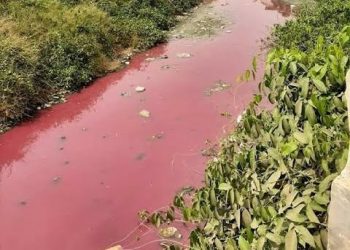 Diduga Tercemar Limbah Pabrik, Air Sungai di Serang Berubah Memerah