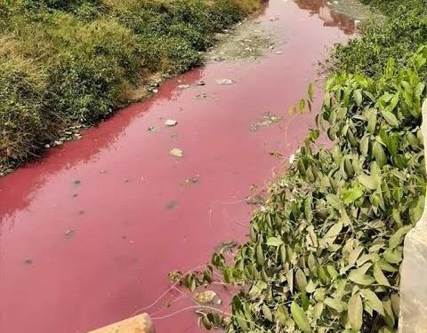 Diduga Tercemar Limbah Pabrik, Air Sungai di Serang Berubah Memerah 1 Diduga Tercemar Limbah Pabrik, Air Sungai di Serang Berubah Memerah