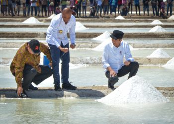 Jokowi : Dibandingkan Australia, Garam NTT Lebih Bagus, Lebih Putih