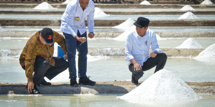 Jokowi : Dibandingkan Australia, Garam NTT Lebih Bagus, Lebih Putih