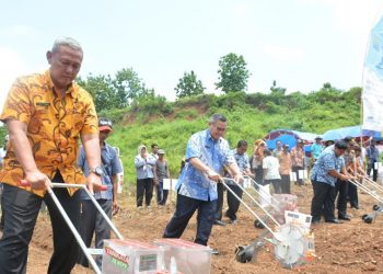 Rekayasa Lahan Marginal, Eks Galian Pasir Ditanami Kedelai