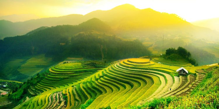 Bali Kian Menjadi Destinasi Pilihan Wisatawan Dunia