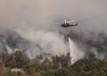 Atasi Kebakaran Amazon, Negara G7 Kucurkan Rp313 Miliar