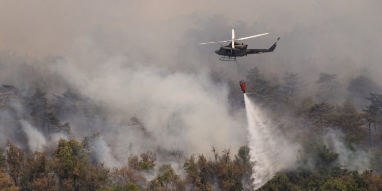 Atasi Kebakaran Amazon, Negara G7 Kucurkan Rp313 Miliar