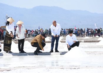 Atasi Impor, Indonesia Pacu Investasi Garam Industri
