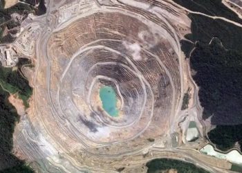 Bekas Tambang Freeport Jadi Hutan Kembali Setelah 15-20 Tahun 1