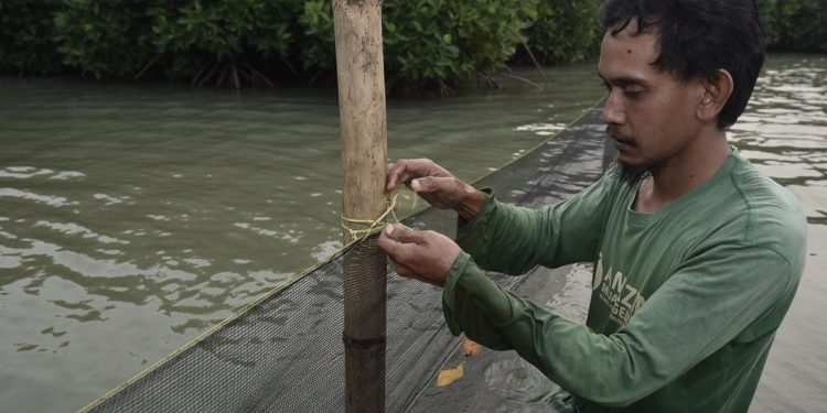 Libatkan Masyarakat, Pertamina Lindungi Hutan Mangrove dari Tumpahan Minyak 1