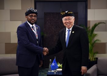 Kolaborasi Indonesia-Afrika, Buka Peluang Investasi Dua Arah