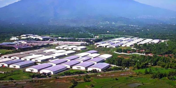 Mitigasi Perubahan Iklim Melalui Konservasi Air