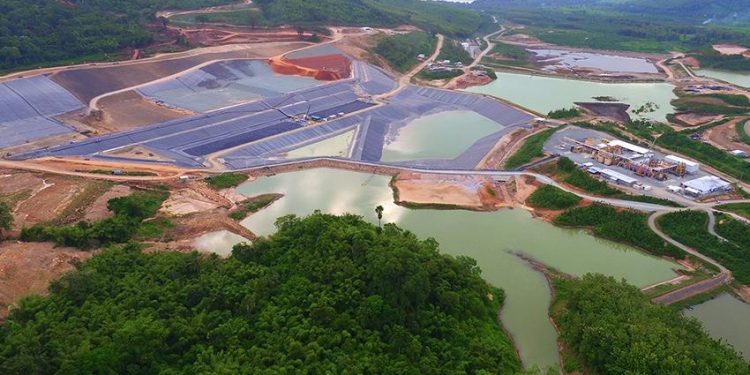BSI Klaim Rehabilitasi 30,1 Hektare Lahan Eks Tambang Emas Tumpang Pitu