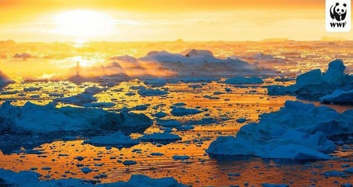 Pemanasan Global Mengkhawatirkan, Emisi Karbon Tingkatkan Suhu Panas