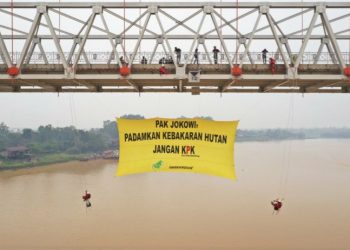 Greenpeace : Pak Jokowi, Padamkan Kebakaran Hutan, Jangan KPK