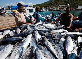 Produk Perikanan Indonesia Digemari Pasar Vietnam