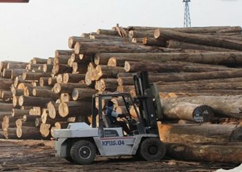Pelaku Usaha Kayu Indonesia Menanti Penyederhanaan Mandatori SVLK
