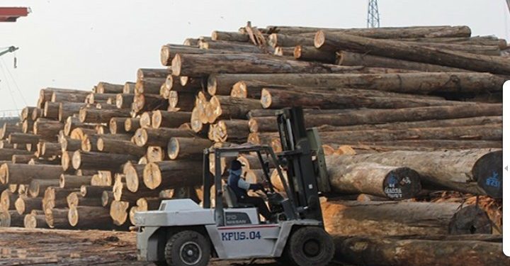 Indonesia Peluang Ekspor  Mebel dan Produk Kayu  Hutan Legal 