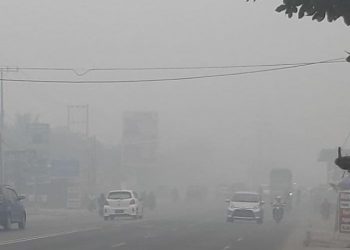 Indonesia Darurat Asap, 2 Ribu Lebih Balita Derita ISPA