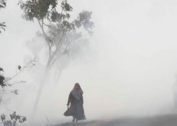 Indonesia Darurat Asap, Krisis Udara Bersih Landa Sejumlah Wilayah