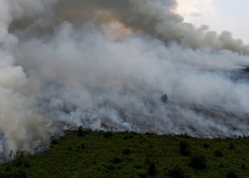 LIPI : Kebakaran Hutan di Indonesia Kategori Ekosida