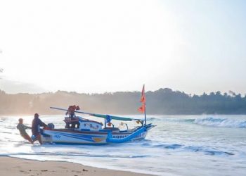 Perubahan Iklim, Asam Laut Meningkat Ancam Jaringan Pangan dan Perikanan
