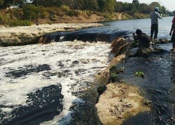 Miris, Sungai Bengawan Solo Tercemar Limbah Pabrik dan Alkohol