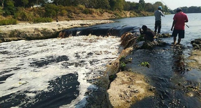 Miris, Sungai Bengawan Solo Tercemar Limbah Pabrik dan Alkohol 1