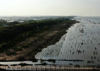 Dampak Lingkungan Tumpahan Minyak Pertamina Belum Ditangani