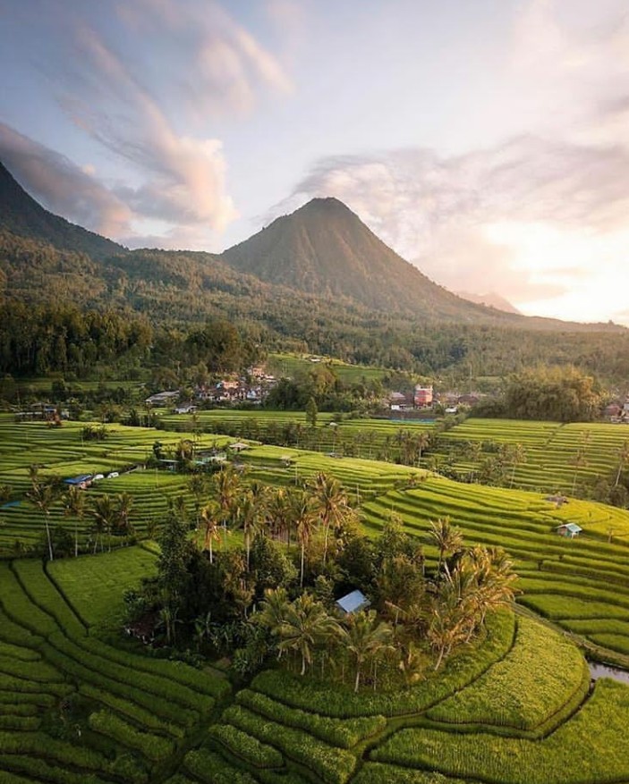 Festival Jatiluwih 2019 di Bali, Tawarkan Pesona Alam dan Kearifan Lokal 1
