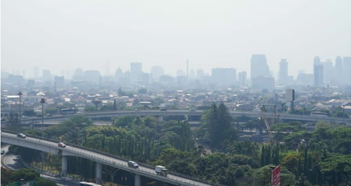 Tekan Polusi, MRT-WWF Berkolaborasi Ajak Masyarakat Bergaya Hidup Hijau