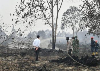 Jokowi Sebut Pembakaran Hutan dan Lahan di Riau Terorganisir