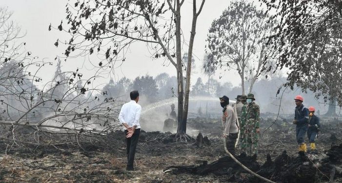 Jokowi Sebut Pembakaran Hutan dan Lahan di Riau Terorganisir