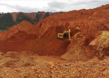 APNI Minta Pemerintah Indonesia Benahi Tata Niaga Nikel