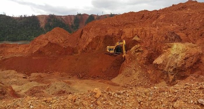 APNI Minta Pemerintah Indonesia Benahi Tata Niaga Nikel 1 APNI Minta Pemerintah Indonesia Benahi Tata Niaga Nikel