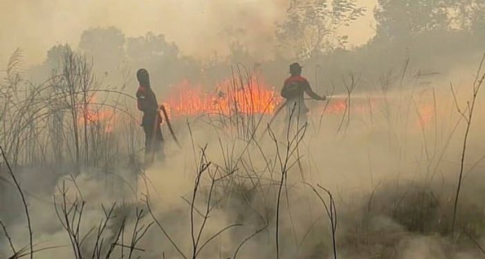 Perusahaan Malaysia dan Singapura Bakar Hutan Indonesia
