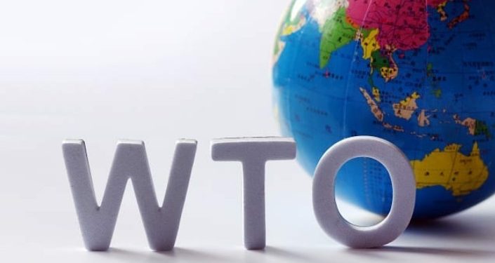 Mengacu Putusan WTO, Indonesia Perbarui Aturan Impor Ayam