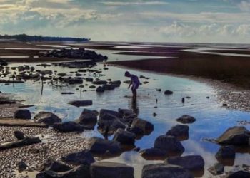 Jerman Kucurkan Rp180 Miliar Bantu Indonesia Atasi Abrasi Pantai