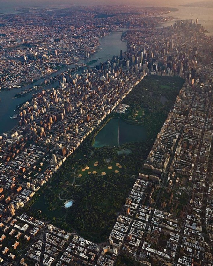 Jadi Ikon Baru, Hutan Kota di GBK Dirancang Seperti Central Park di New York 2