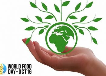 FAO Soroti Kelaparan, Kurang Gizi, Gaya Hidup dan Keamanan Pangan