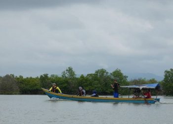 Wisata Mangorove Segara Anakan,  Rumah Bagi Flora dan Fauna Endemik