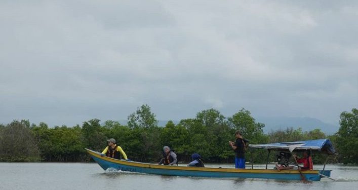 Wisata Mangorove Segara Anakan,  Rumah Bagi Flora dan Fauna Endemik