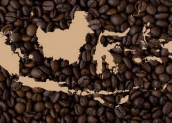 Indonesia Potensial Jadi Produsen Kopi Terbesar di Dunia