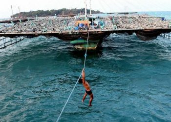 Periode Pertama Jokowi, Apa Yang Bisa Dibanggakan dari Kinerja Kabinet?