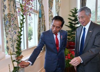 Indonesia-Singapura Perpanjang Kerja Sama Pertukaran Mata Uang