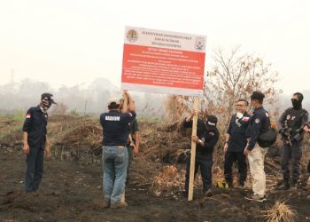 Pemerintah Indonesia Segel 64 Lahan Perusahaan yang Terbakar