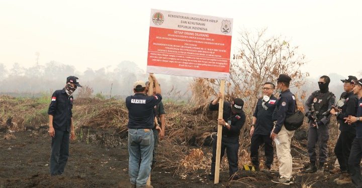Pemerintah Indonesia Segel 64 Lahan Perusahaan yang Terbakar