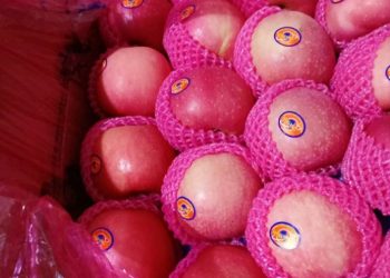 Indonesia Masih Andalkan Impor Buah Apel, Anggur dan Obat-obatan